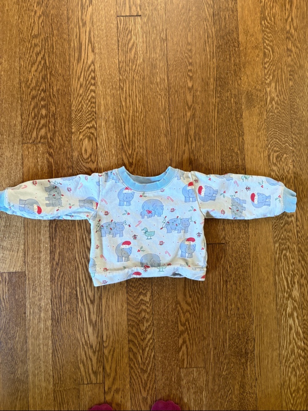 Three Little Ducks Children's Boutique Christmas Hippo crewneck